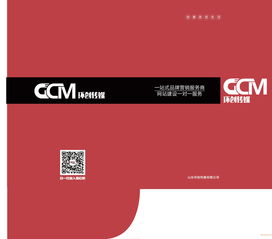 濟南企業品牌設計與視覺傳達 平面包裝與VI圖冊設計的價值與選擇
